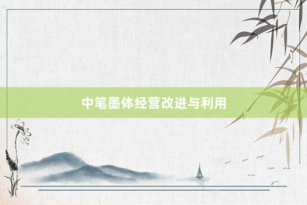 中笔墨体经营改进与利用