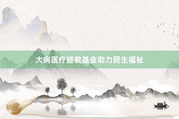 大病医疗拯救基金助力民生福祉