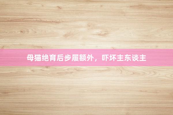 母猫绝育后步履额外,吓坏主东谈主