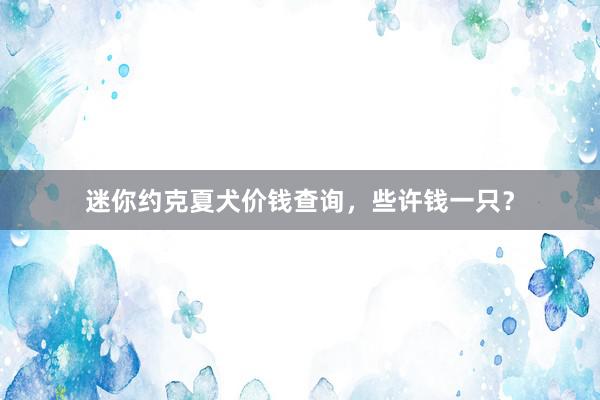 迷你约克夏犬价钱查询，些许钱一只？