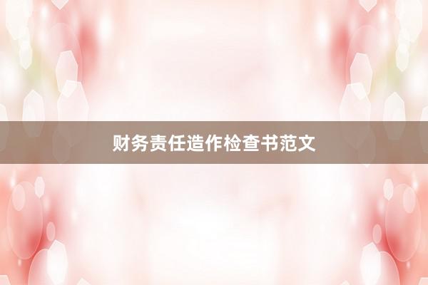 财务责任造作检查书范文